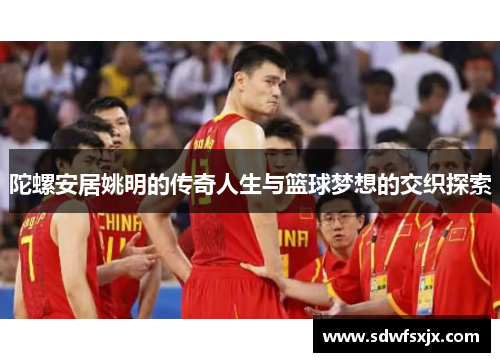 陀螺安居姚明的传奇人生与篮球梦想的交织探索